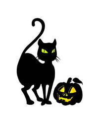 Черная кошка
